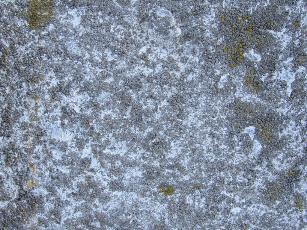 Het gewicht van een kuub beton uitgelegd voor iedereen