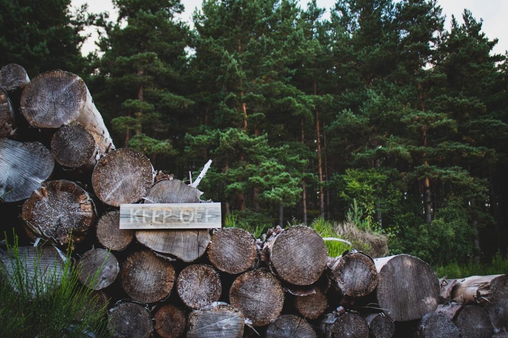 Warmte en sfeer in huis met openhaardhout