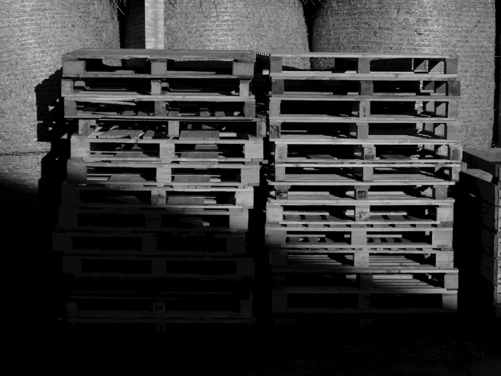 Van boom tot bouw: het verhaal van de houtzagerij