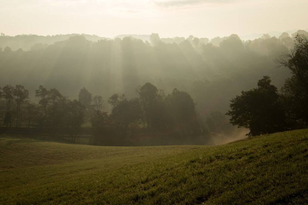 Met gelamineerde spanten bouw je sterke en mooie houtconstructies